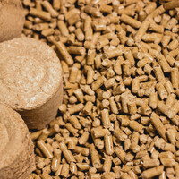 shutterstock_1291147204