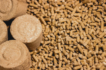 shutterstock_1291147204_350x0