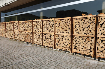 shutterstock_1326459986