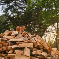 shutterstock_1979713973